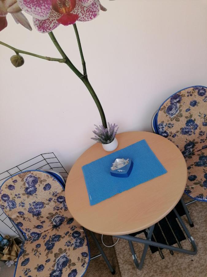 Apartman Nena Nova Varoš Екстериор снимка